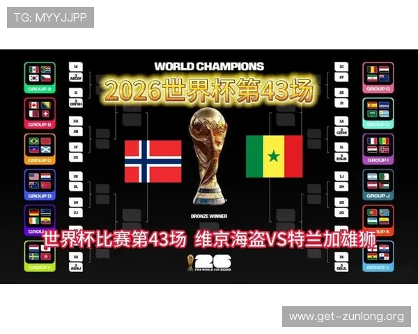 2026年世界杯挪威VS塞内加尔比赛场馆容量情况及其对赛事组织的影响分析